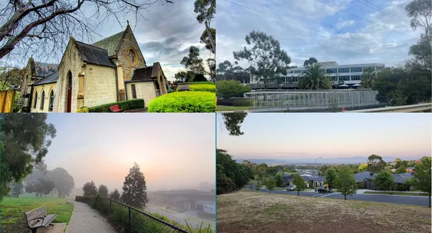 Pest Control Services Chirnside Park